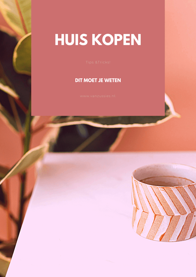 Een huis kopen? Dit moet je weten!